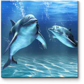 Модульная картина Счастливые дельфины