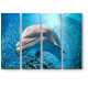 Модульная картина Улыбка дельфина