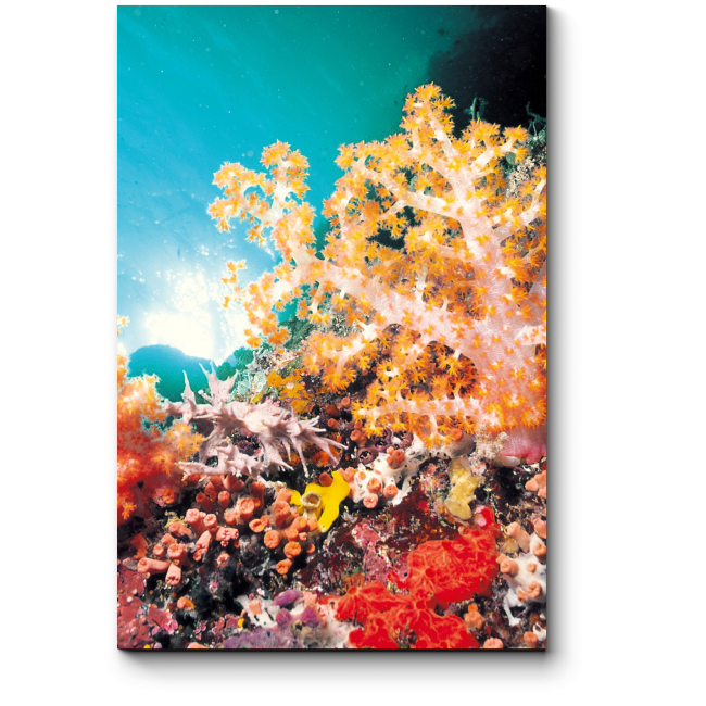 Модульная картина Яркий коралловый мир