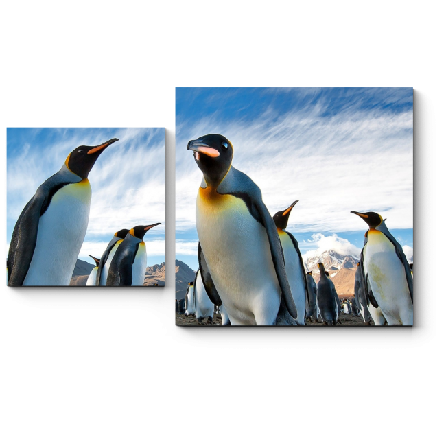 Модульная картина Любопытные пингвины
