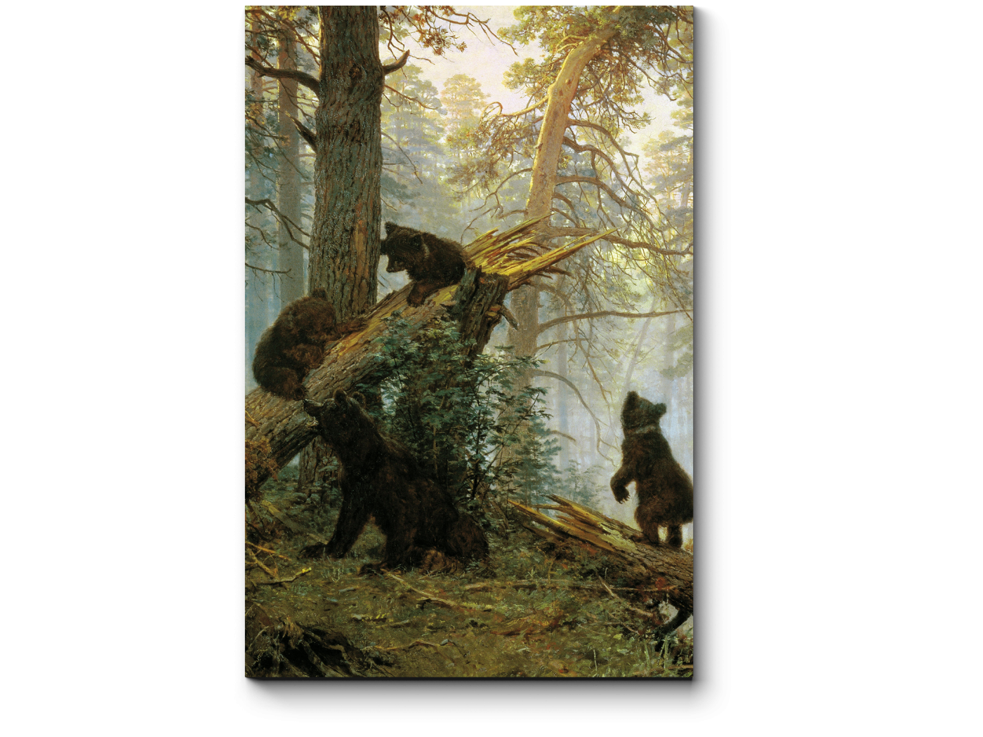«Утро в Сосновом лесу» (1889 г.; медведи написаны к. а. Савицким). И. И. Шишкин «утро в Сосновом лесу» (1889 г.). Медведи ивана шишкина