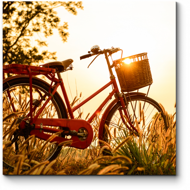 Summer bike. Пейзаж с велосипедом. Лето велосипед. Велосипед летом. Велосипед на природе.