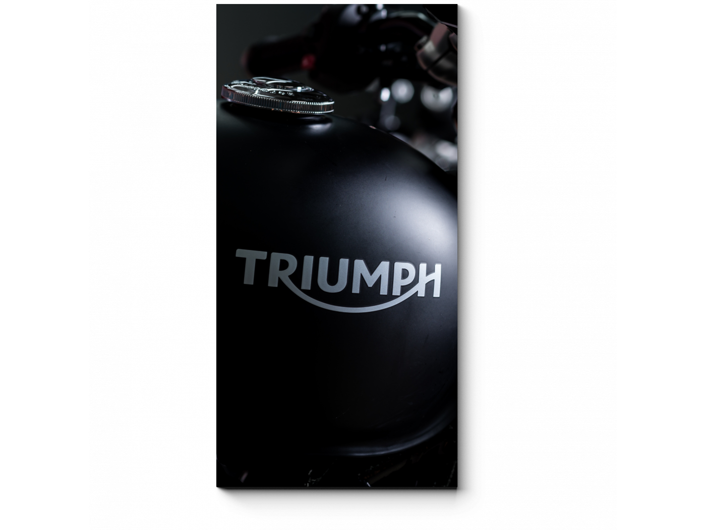 Triumph 20. Компрессор Triumph 20. Триумф логотип картинки. Triumph logo. Триумф картинки.