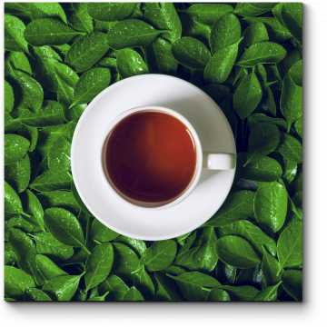 Модульная картина Зеленый чай