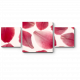 Модульная картина Лепестки роз