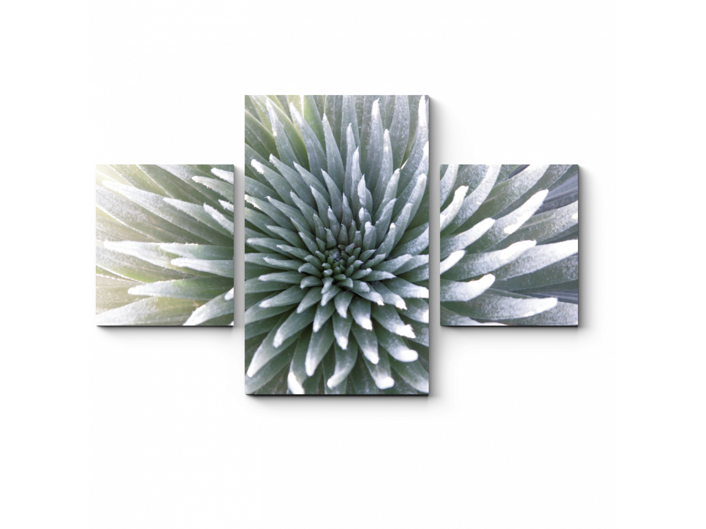 

Модульная картина Picsis, Гавайский цветок (20x20)