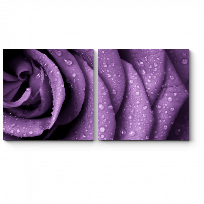 Модульная картина Фиолетовая роза