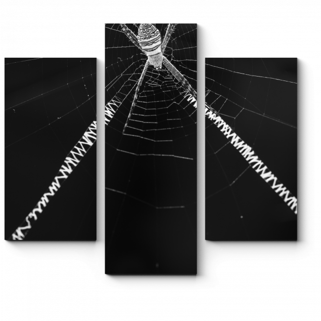 Модульная картина В сетях паука