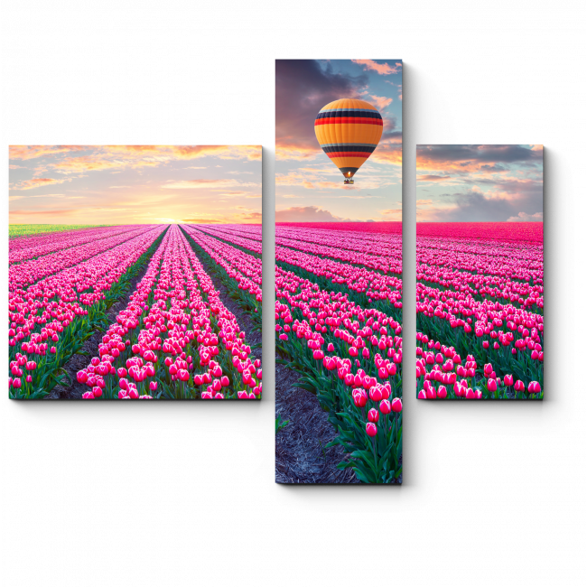Модульная картина Пролетая над тюльпановым полем