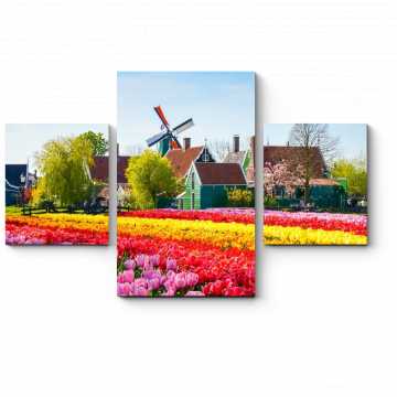 Модульная картина Тюльпановое поле, Амстердам