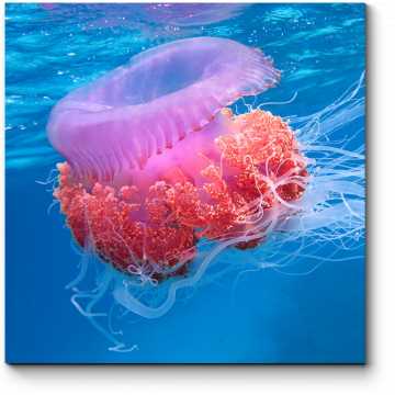 Модульная картина Розовая медуза под водой