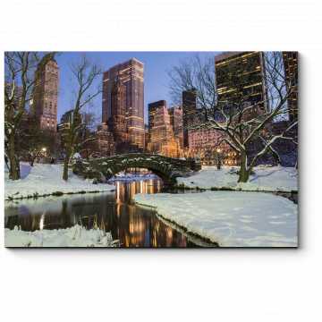 Модульная картина Зимний вид Центрального Парка