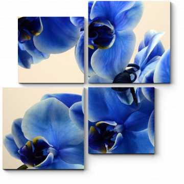 Модульная картина Синие орхидеи