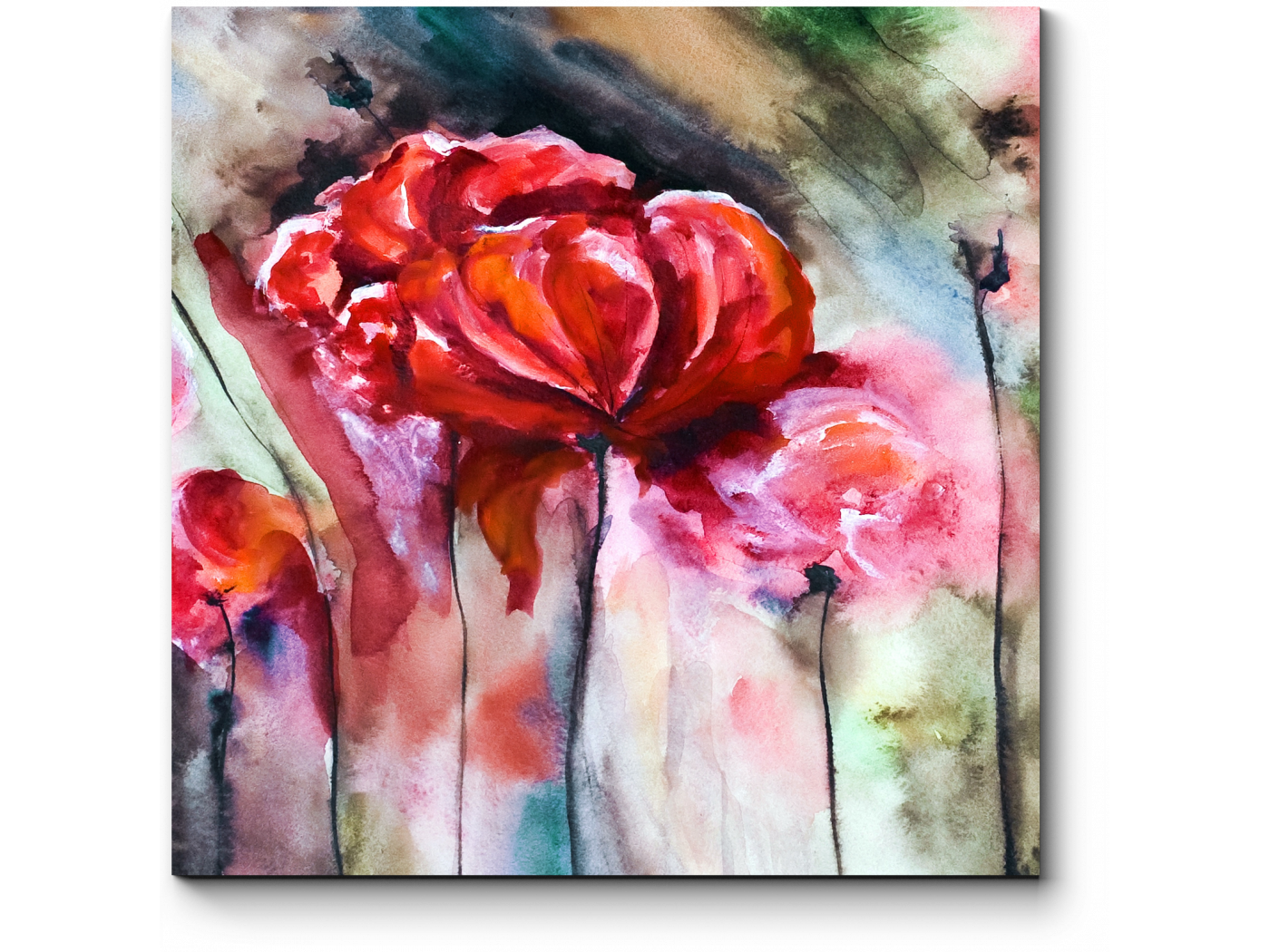 

Модульная картина Picsis, Маки (20x20)